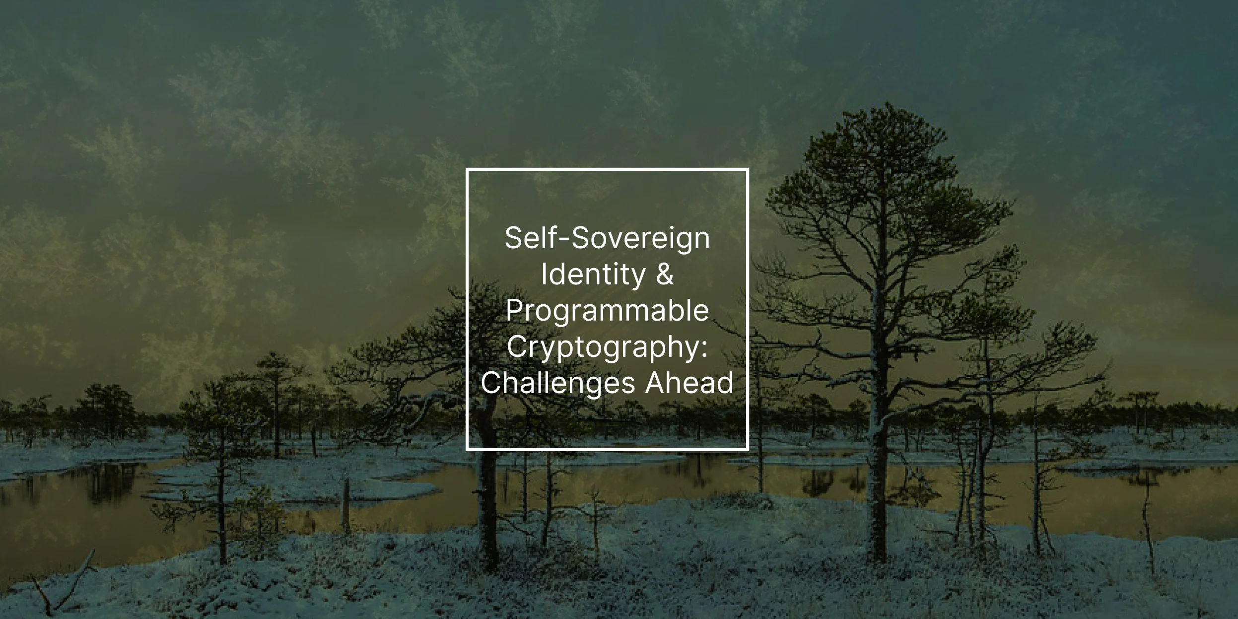 Self-Sovereign Identity & Programmable Cryptography: Challenges Ahead