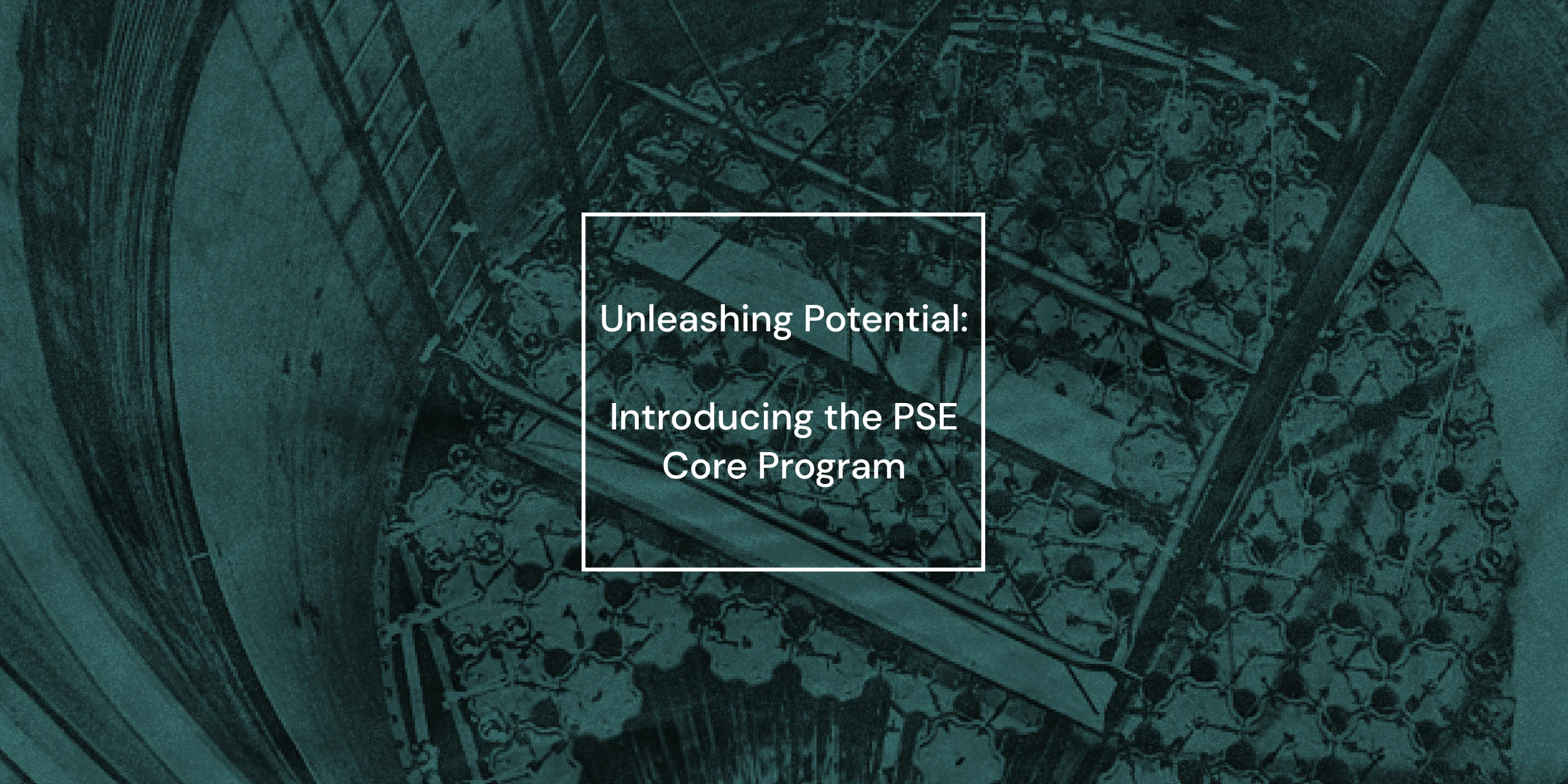 Unleashing Potential: Introducing the PSE Core Program